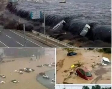 HT10. A 9.1 magnitude earthquake also caused a tsunami in the city of… See more