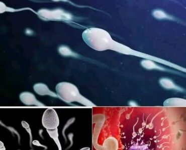 !!! Studies reveal that swallowing your partner’s semen… See more