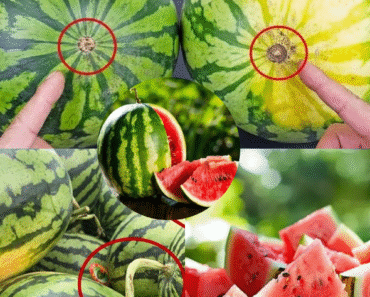 The Art of Selecting the Perfect Watermelon: A Guide to Sweetness and Ripeness