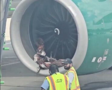 HT10. HORROR ON THE TARMAC: A Frontier plane’s engine shredded…Video in comments HT10. HORROR ON THE TARMAC: A Frontier plane’s engine shredded…Video in comments