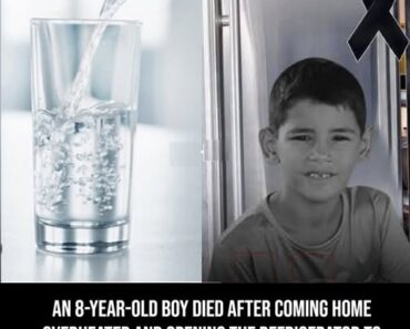 8-YEAR-OLD BOY DIED WHEN HE CAME HOME AND OPENED THE REFRIGERATOR… SEE MORE