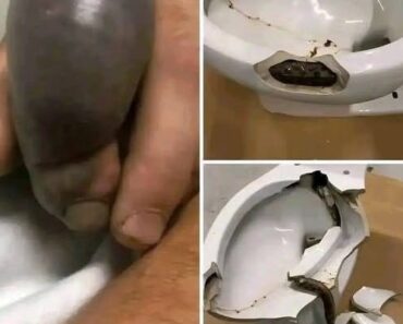 He went to the bathroom without knowing that there was a…See more – Daily News