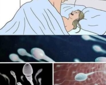 Many know! Studies reveal that swallowing your partner’s semen…See more – Daily News