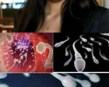 DOCTORS reveal that SWALLOWING your partner’s semen prov… See more – Daily News