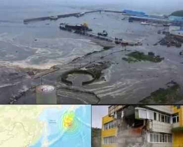LATEST NEWS Alert: Powerful 8.8 magnitude earthquake shakes the city…See more
