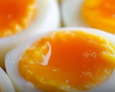 Everything You Need to Know About Eating Eggs Daily