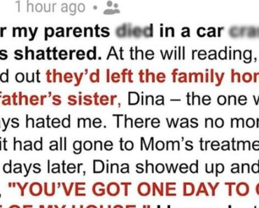 My Aunt Took My Family Home After My Parents Passed — Then a Black Limo Changed Everything My Aunt Took My Family Home After My Parents Passed — Then a Black Limo Changed Everything