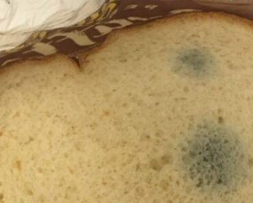 Stale Bread: When It’s Safe to Eat and When to Toss It