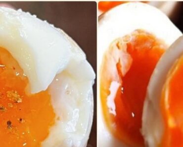 Eating eggs with 6 common things Eating eggs with 6 common things