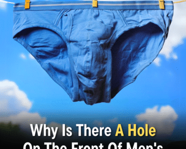 Why Is There A Hole On The Front Of Men’s Underwear? Why Is There A Hole On The Front Of Men’s Underwear?