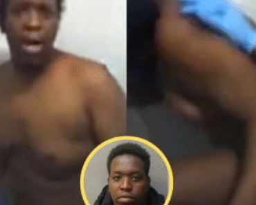 Camera Captures Inmates Responding to Convicted Offender’s Arrival See More – Daily News