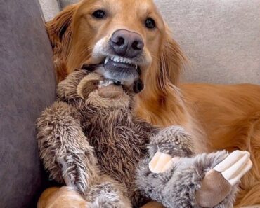 Cuddles, naps, and extra love for my little buddy today. ❤️ Cuddles, naps, and extra love for my little buddy today. ❤️