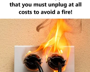 Before going to sleep, there is one kitchen appliance that y… See more Before going to sleep, there is one kitchen appliance that you must unplug at all costs to avoid a fire!… See more