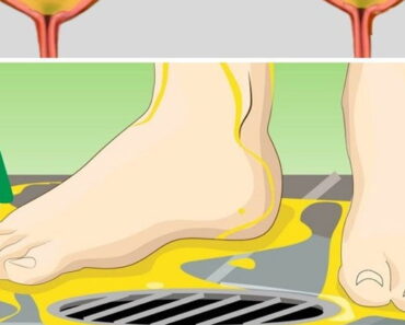 Urinating while showering: you should know that it make you …