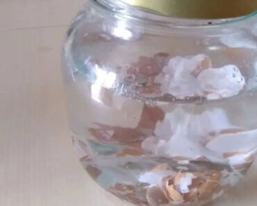 Eggshells, don’t throw them away: soak them in hot water and see what happens