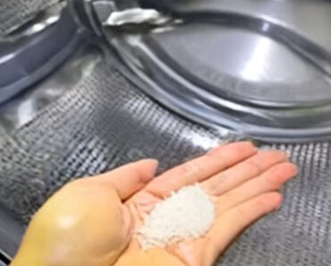 Put salt in your washing machine. Here’s why. Put salt in your washing machine. Here’s why.