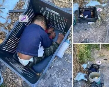 This approximately 2-year