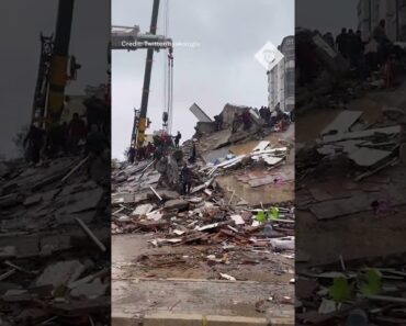 Moment building collapses in Turkey as rescuers continue earthquake searches