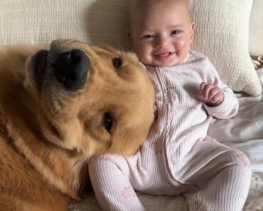 Laughs, smiles and cuddles. How growing up with dogs should be! Some of my favs from June camera roll ❤️