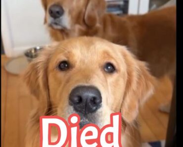 Got it — you’re asking about “stress” (DOD stress / dealing with stress). Got it — you’re asking about “stress” (DOD stress / dealing with stress).