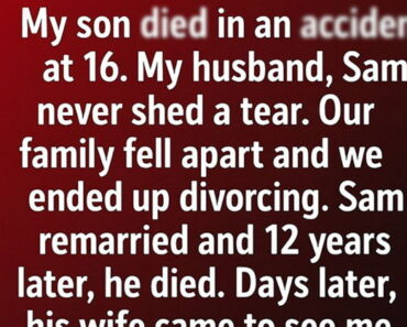 The Letters He Never Shared: A Story of Love, Loss, and Healing