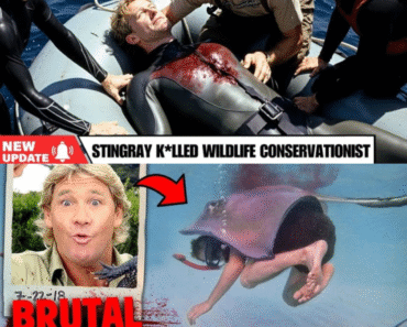 T.R.A.G.E.D.Y: The tragic final dive of Steve Irwin – Wildlife conservationist and TV presenter…GT09