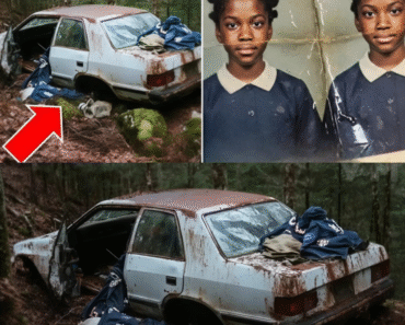 Black Twin Sisters Vanished in 2004 — 20 Years Later, Only One Returned They walked to the store like they always did — fifteen-year