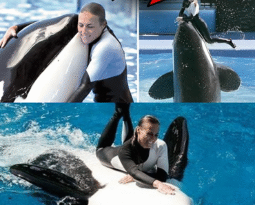 What drove the whale to do it? Witnesses reveal chilling details moments before Jessica Radcliffe was swept away… GT09