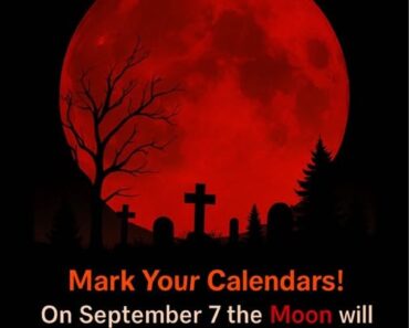 ✨ The Blood Moon Is Coming – September 7, 2025 ✨ Get ready for one of the most breathtaking sky shows of the decade! On the night of September 7, 2025, the Moon will slip into Earth’s shadow, creating a stunning Total Lunar Eclipse. ✨ The Blood Moon Is Coming – September 7, 2025 ✨ Get ready for one of the most breathtaking sky shows of the decade! On the night of September 7, 2025, the Moon will slip into Earth’s shadow, creating a stunning Total Lunar Eclipse.