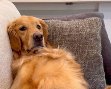 “When you realize adulting is overrated, so you just vibe on the couch instead ️✨”