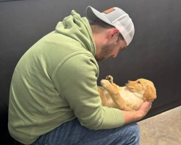 “First photo, forever favorite  From the moment I met Thegoldenrubyroo, I knew my heart found its best friend.”