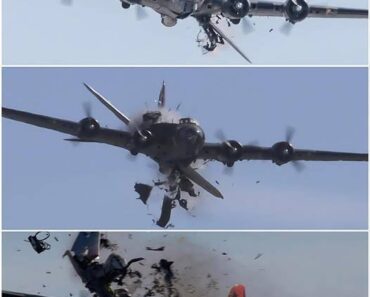 Remembering the Dallas Air Show Mid-Air Collision: Honoring Aviation Heritage and Lessons for the Future