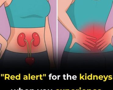 Do NOT ignore these signs ⬇️ Do NOT ignore these signs ⬇️