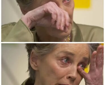  At 67, Sharon Stone Finally Tells the Truth That Will Shock and Break Your Heart!  The iconic star’s emotional revelation uncovers psychological struggles, betrayal, and a dramatic twist that has remained buried for decades. This Hollywood exposé exposes the heartbreaking reality behind Sharon Stone’s glamorous image, leaving fans stunned and craving the full story. The truth is out — and it’s more dramatic than anyone expected! 