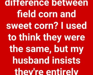Comparing Field Corn and S Comparing Field Corn and S