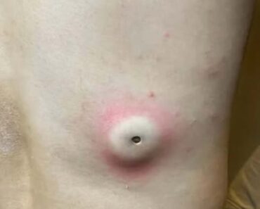 Friendly Ways Gratitude Strengthens Daily Habits