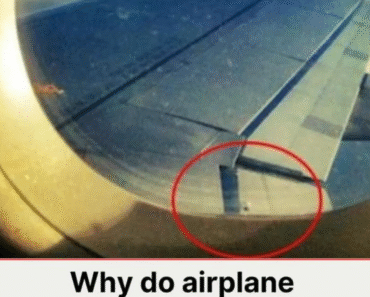 The Mystery of the Tiny Hole in Airplane Windows The Mystery of the Tiny Hole in Airplane Windows