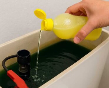 8 reasons why adding lemon juice to your toilet tank is a must