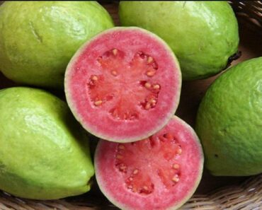Doctors Reveal What Really Happens When You Drink Guava Leaf Tea