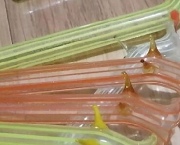 What is this…? I found it in my grandmother’s closet