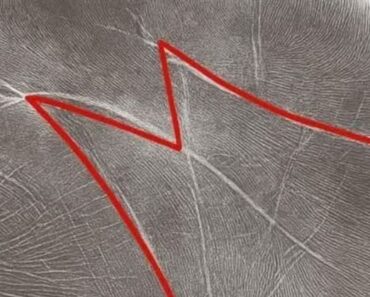 The Hidden Meaning of the “M” on Your Palm: What It Says About Men and Women