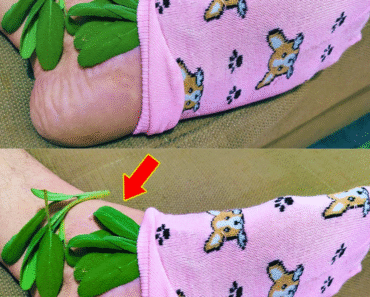 This Powerful Herb that Fights Inflammation, Pain, and More