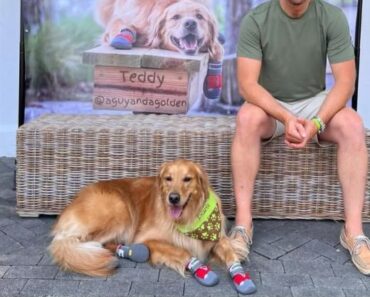 LOOK AT THE DATE THIS WAS POSTED EVERYONE. Proof of when his real birthday is.