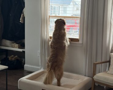 They always wait for us