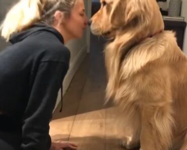 SUSAN IS A STAGE 5 CLINGER!