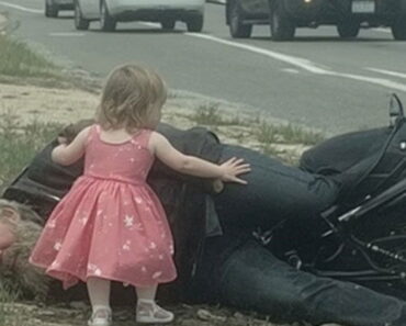 Little Girl In Princess Dress Saved Unconscious Stranger She Found In Ditch Little Girl In Princess Dress Saved Unconscious Stranger She Found In Ditch