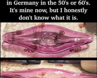 Timeless Vintage Finds That Never Go Out