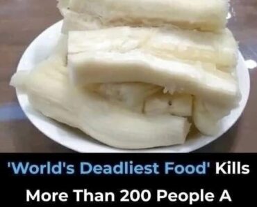 Despite Being the ‘World’s Deadlies Despite Being the ‘World’s Deadlies