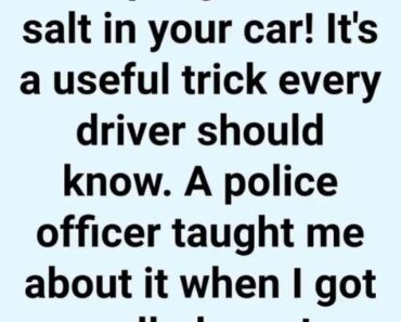 Keep a Glass of Salt in Your Car! It’s a Useful Tr