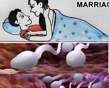 Many know! Studies reveal that swallowing your partner’s semen… See more Many know! Studies reveal that swallowing your partner’s semen… See more